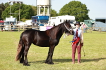 SBM_00921