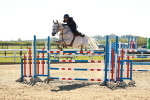 SBM_001955