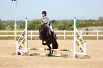 SBM_006980