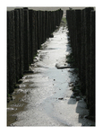 Chemin de Réflexion