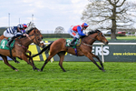 100426-Race 4-Harswell Ruby-3274