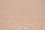 230720A-095108-01482