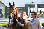080426-Race 7-Sir Garfield-1371