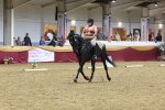 SBM_09657