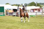 SBM_15599