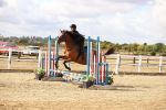 SBM_006571