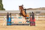 SBM_001878