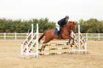 SBM_008369