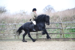 SBM_006353