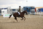SBM_06127