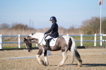 SBM_004207