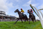 171026-Race 5-Brighton Boy-8605