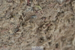220829A-173810-00472