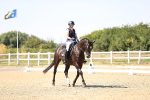 SBM_005533