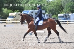 BPP_0548
