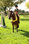 Working Hunter Pony Supreme Championship portfolio