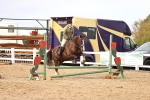 SBM_03591