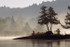 Misty Morning