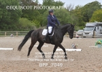 BPP_7049