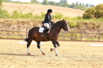 SBM_000501