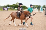 Seavington PC Showjumping Sat 16th - Click to Enter portfolio
