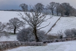 Rural Snowy Landscape