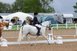 SBM_00217