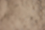 20260705-0155