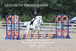 BPP_8225