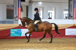 SBM_20107