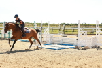 SBM_006977
