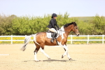 SBM_007902