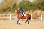 SBM_016710