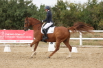 SBM_012011