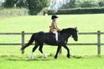 SBM_50269