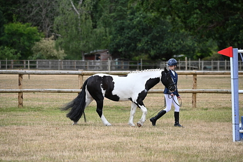WJ6_4179