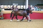 SBM_16573