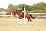 SBM_007710