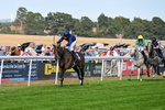 130826-Race 5-Wardlaw-9459