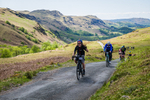 141441