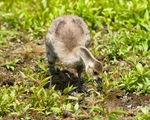 20110702-_MG_6209