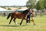 SBM_02243
