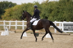 SBM_015582