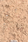 231011A-112558-00235