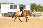 SBM_011335
