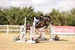 SBM_008595