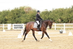 SBM_003688