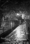 Otley Side Path 35mm shot