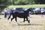 WJ6_4879