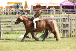 SBM_05336